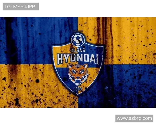 重庆足球队逆袭全国锦标赛的辉煌历程与背后故事揭秘