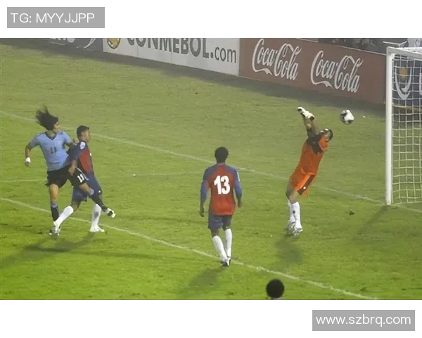 2010年世界杯小组赛乌拉圭对南非精彩回顾与赛后分析