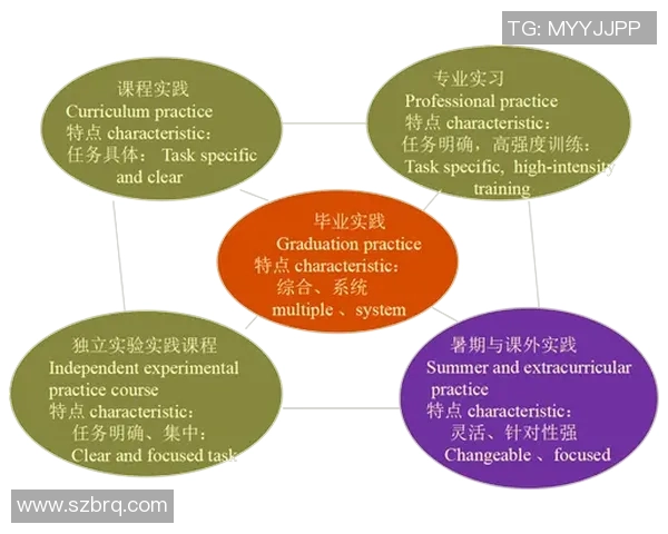 科学攀岩战术训练方法探讨与实践提升技巧与安全保障MBA