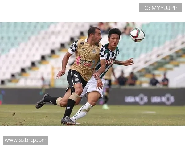 艾维斯与马里迪莫对决分析及赛前预测详解