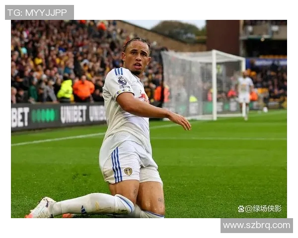 西布罗对阵利兹联比赛结果分析及精彩瞬间回顾